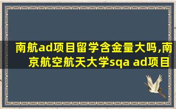 南航ad项目留学含金量大吗,南京航空航天大学sqa ad项目